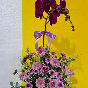 Simfoni Ungu Rangkaian Anggrek Bulan & Krisan Premium - Dorus Florist