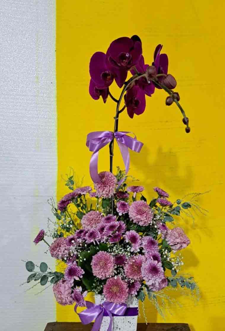 Simfoni Ungu Rangkaian Anggrek Bulan & Krisan Premium - Dorus Florist