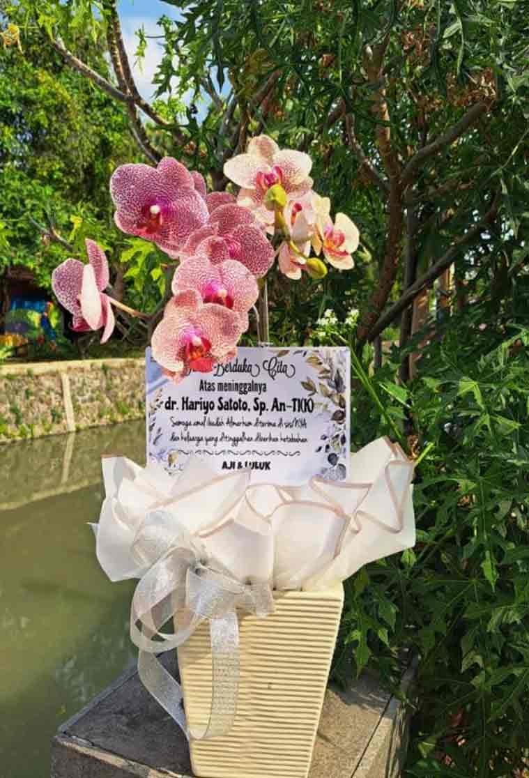 Keanggunan Tulus Rangkaian Pot Anggrek Bulan Pink - Dorus Florist