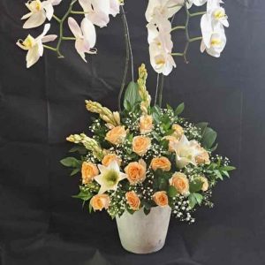 Keanggunan Murni Rangkaian Vas Anggrek Putih & Mawar Peach - Dorus Florist