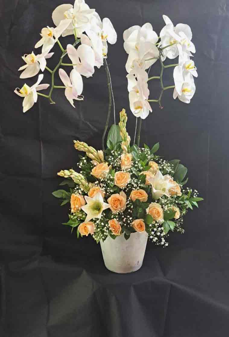 Keanggunan Murni Rangkaian Vas Anggrek Putih & Mawar Peach - Dorus Florist