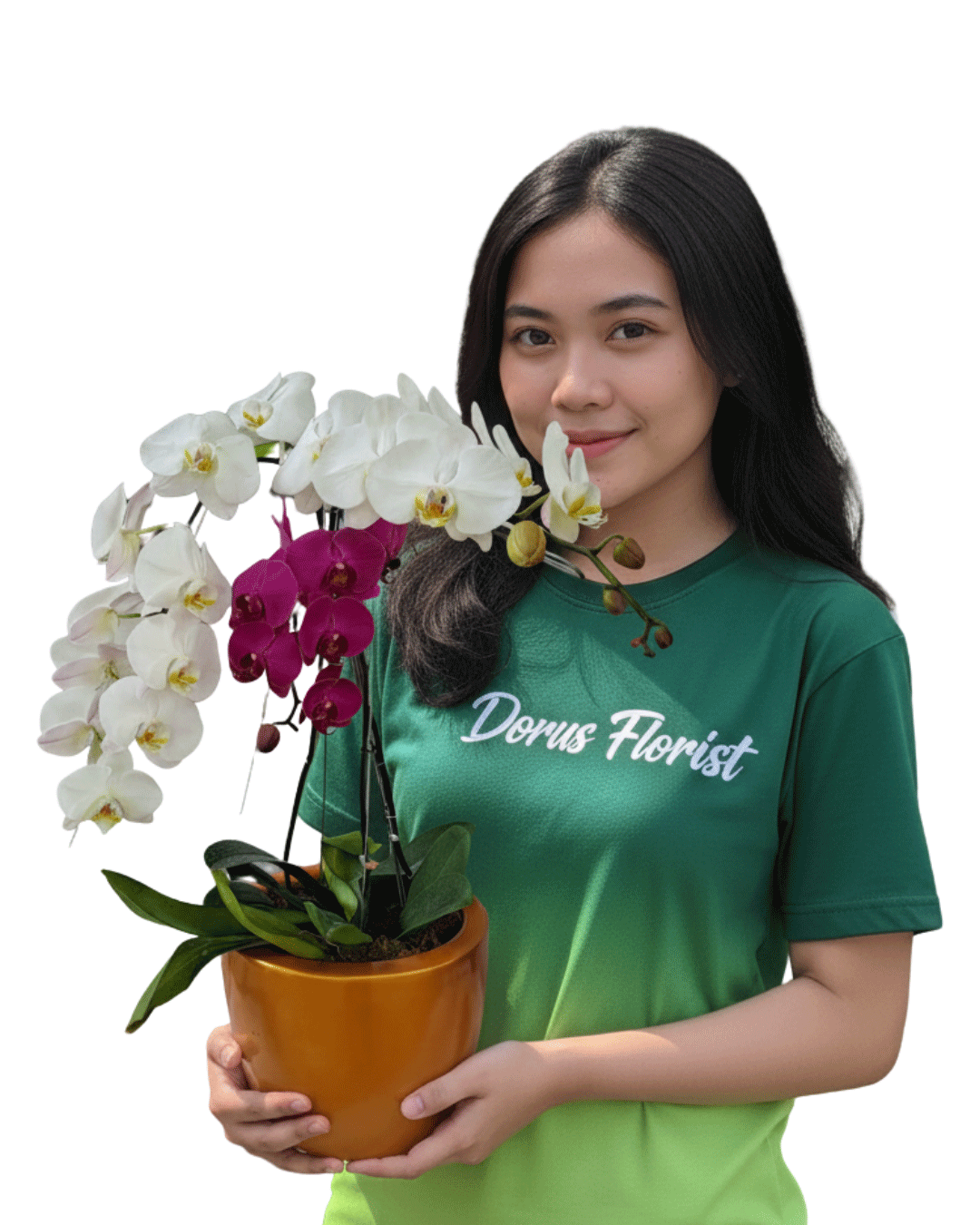 Bunga Anggrek Dorus Florist Beranda